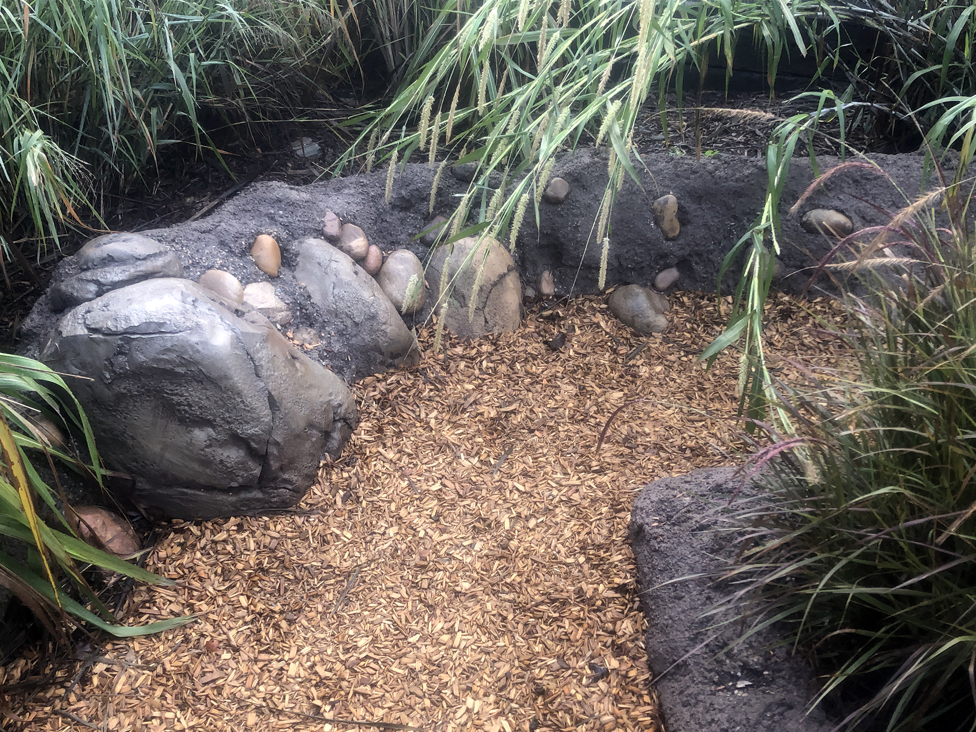 Dung beetle exhibit with sculpted concrete beetle balls