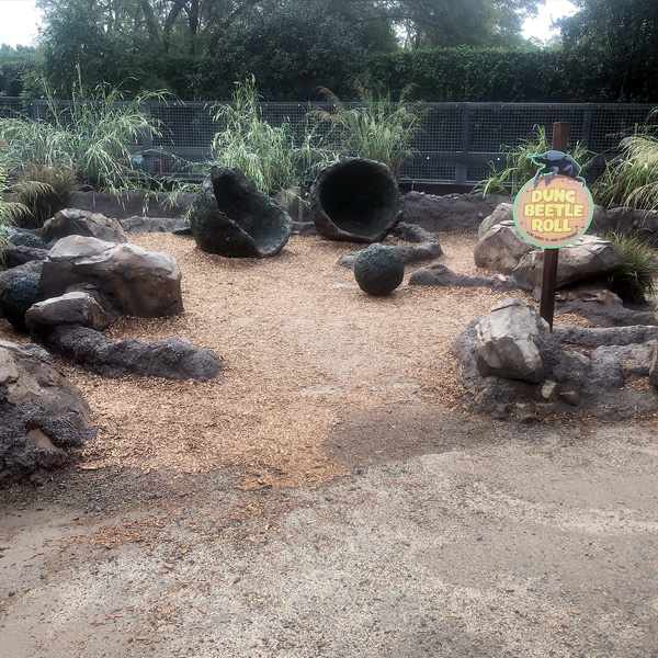 Interactive dung beetle exhibit